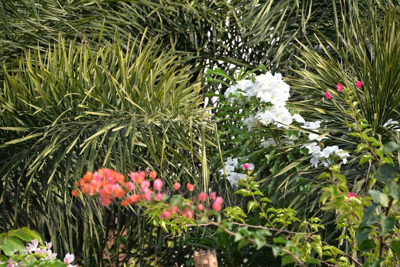 Gasthof Flower Road